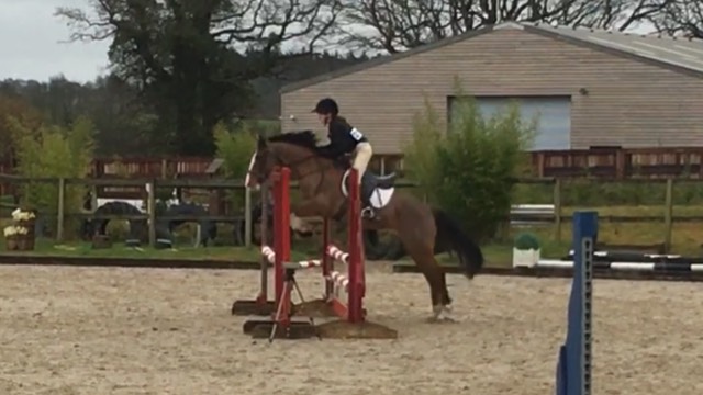 Showjumping photo