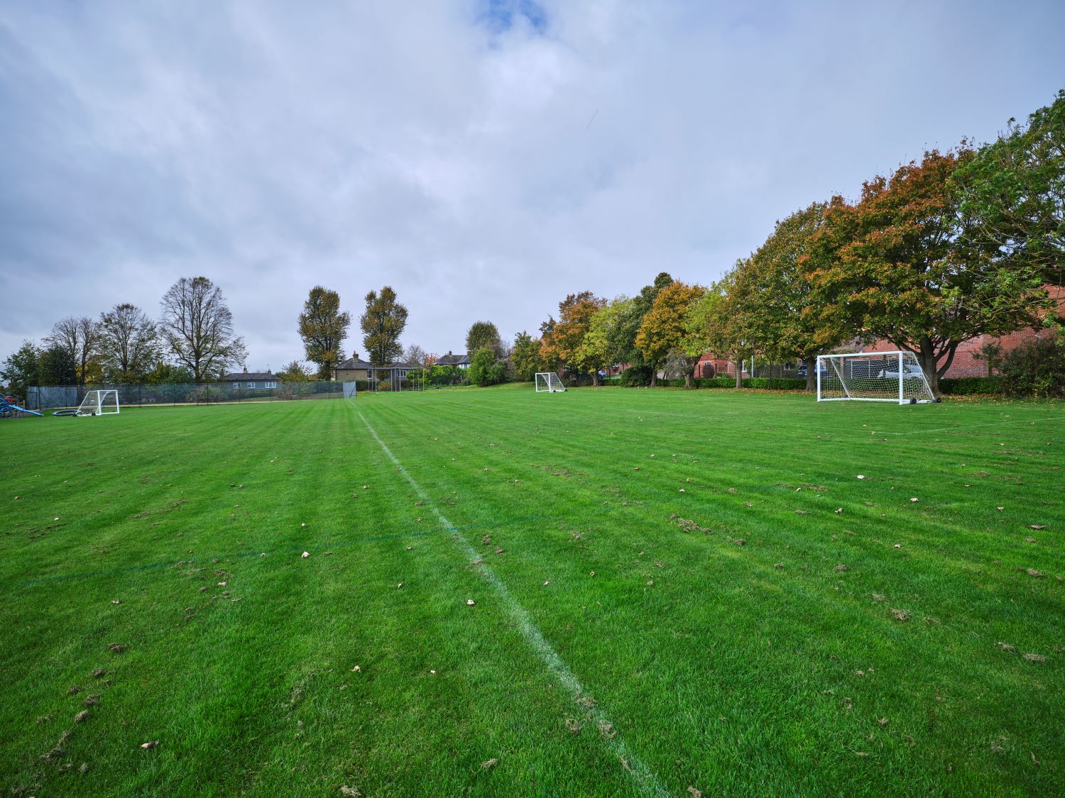 Image of Field at Dame Bradbury's