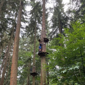 Year 12 Induction Programme, student climbing in a tree